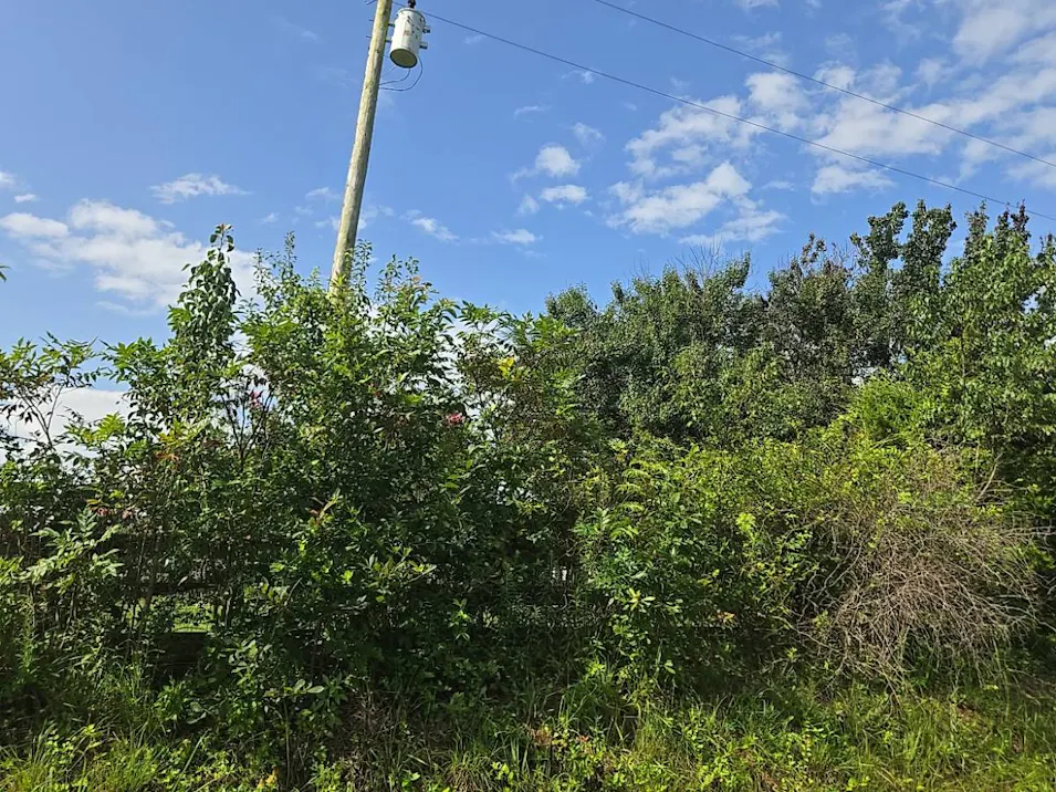 174 Pond Field Road Lawrenceburg, TN 38464, Lawrence County