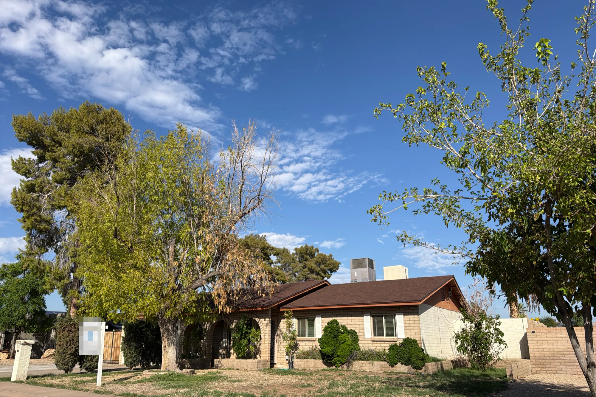 28th Way, Phoenix, AZ 85032 #1