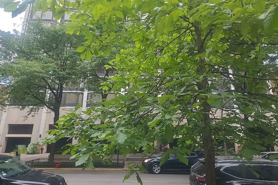 50 E Bellevue Pl. Apt. 1603 Chicago, IL 60611, Cook County