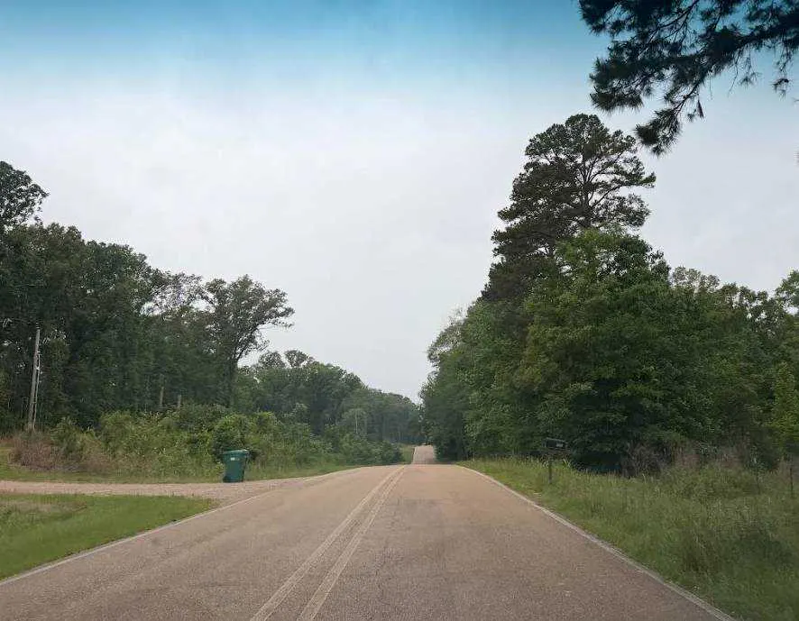 Lebanon Pinegrove Rd, Terry, MS 39170 #1