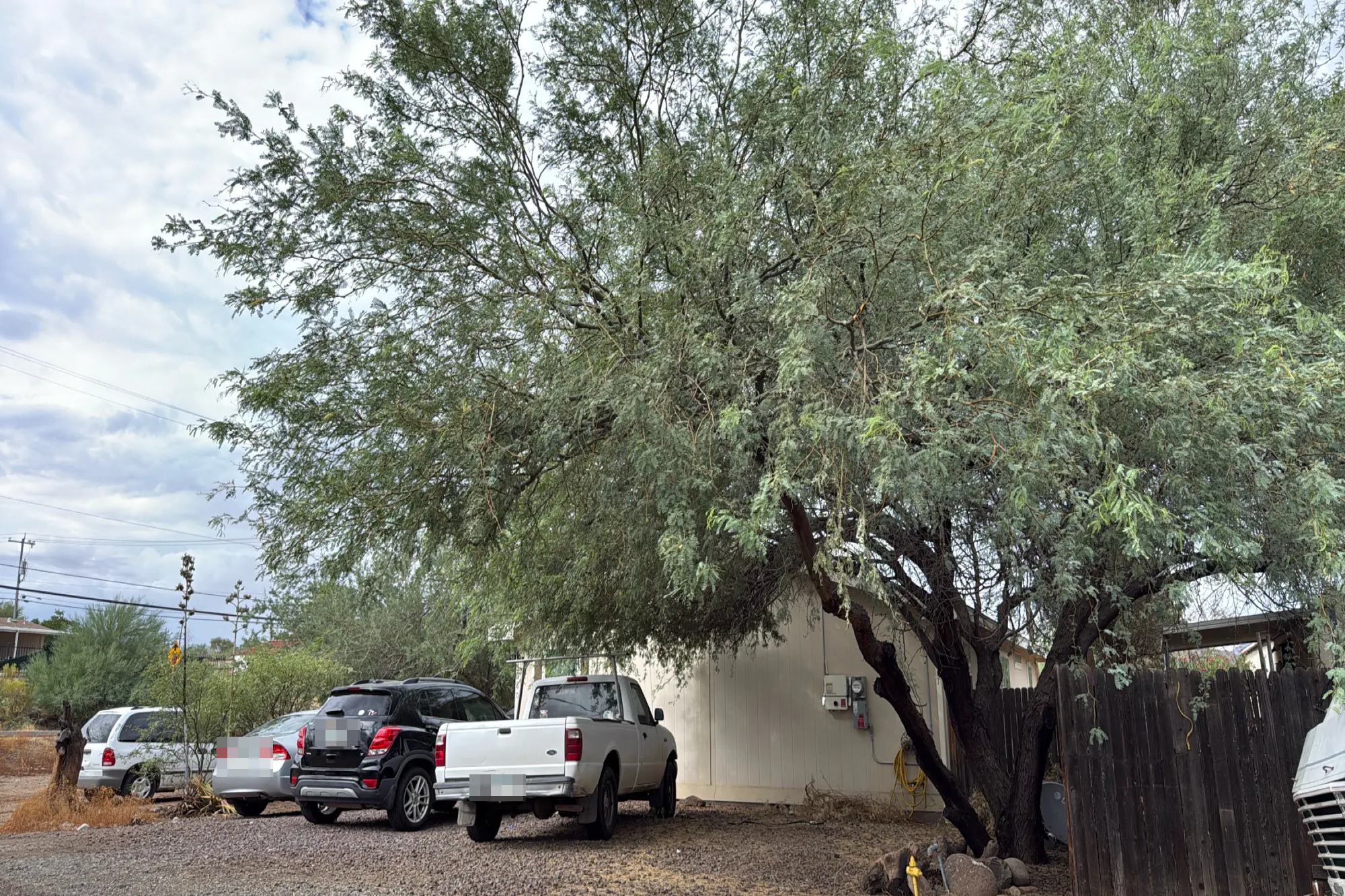 Albins St, Black Canyon City, AZ 85324 #1