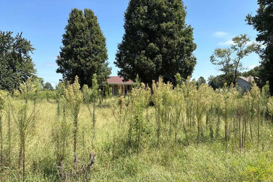 8688 Beaver Arm Rd Ridgely, TN 38080, Obion County
