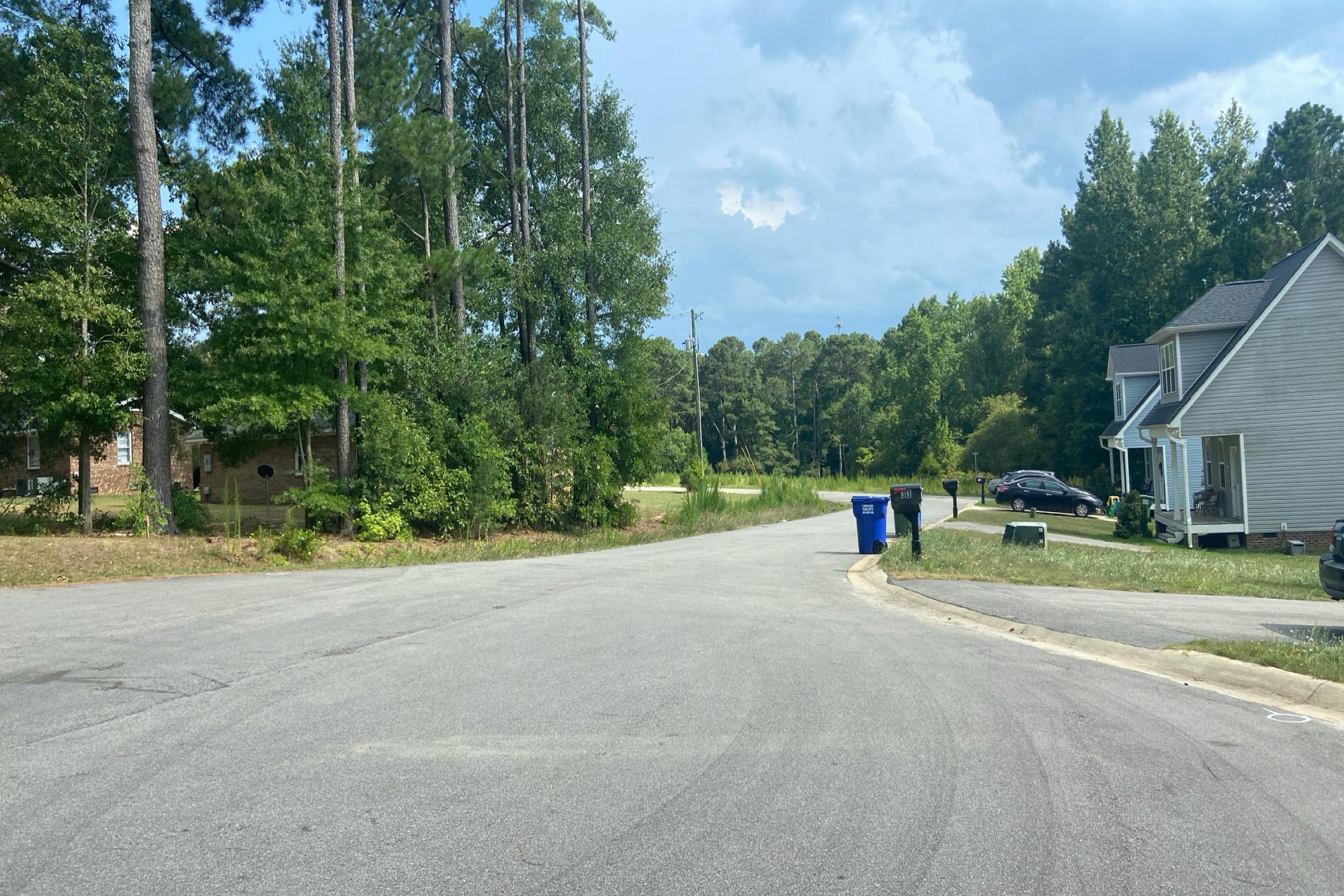 Mattie Grace Ln, Coats, NC 27521