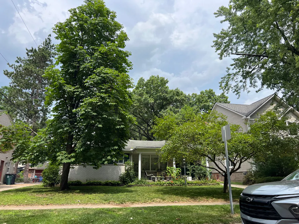 317 Detroit Ave Royal Oak, MI 48073, Oakland County