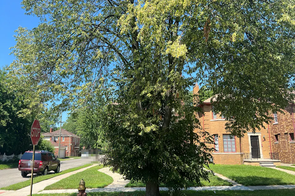 18601 Pennington Dr Detroit, MI 48221, Wayne County