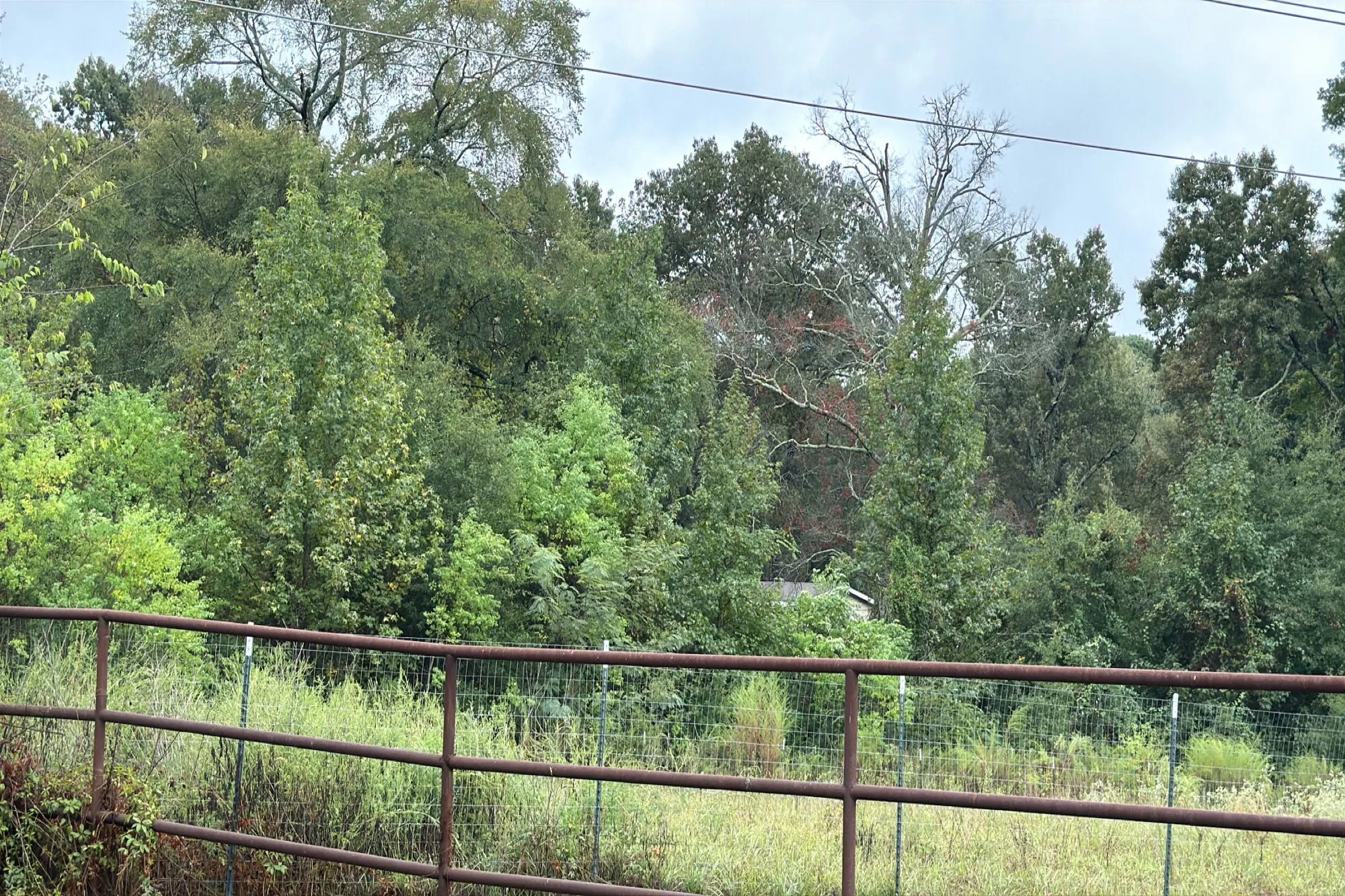Blackberry Cir, Longview, TX 75603 #1