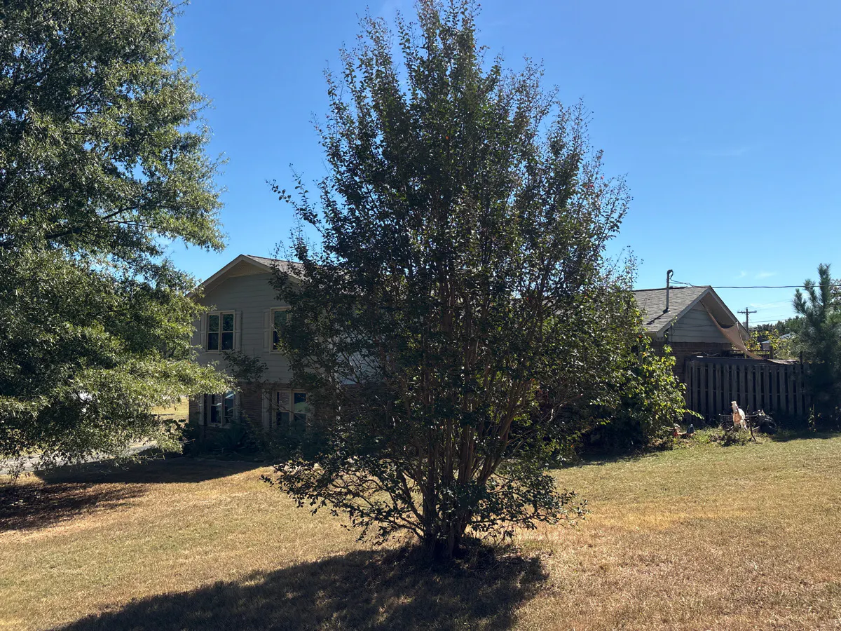 Candice Dr, Fayetteville, TN 37334 #1