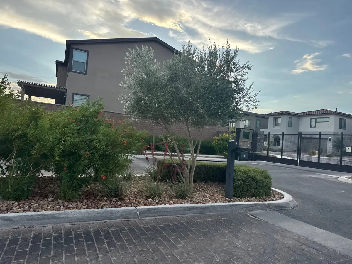 Azure Jay Ave, North Las Vegas, NV 89084 #1