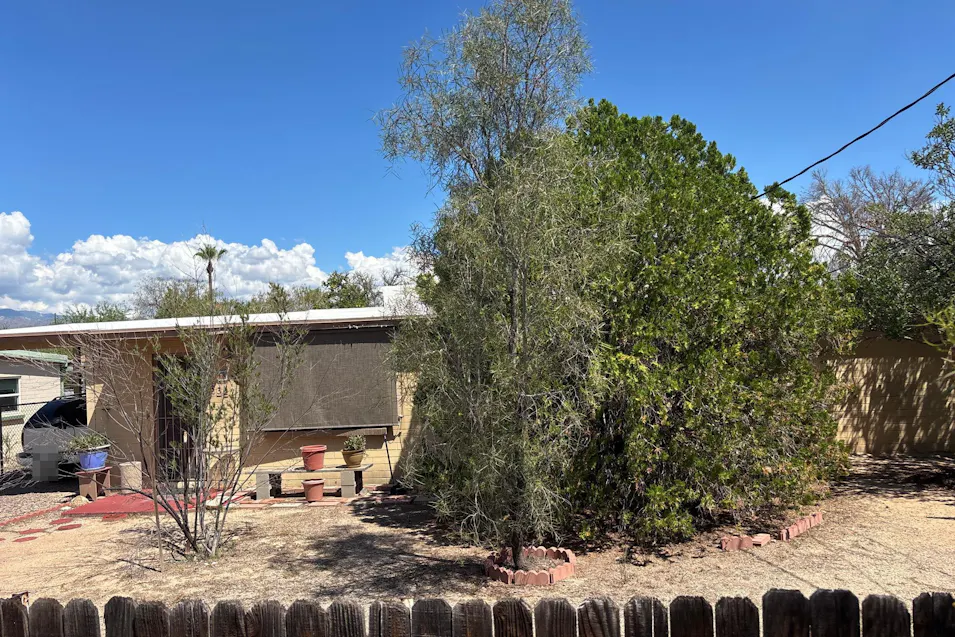 3322 N Edith Blvd Tucson, AZ 85716, Pima County
