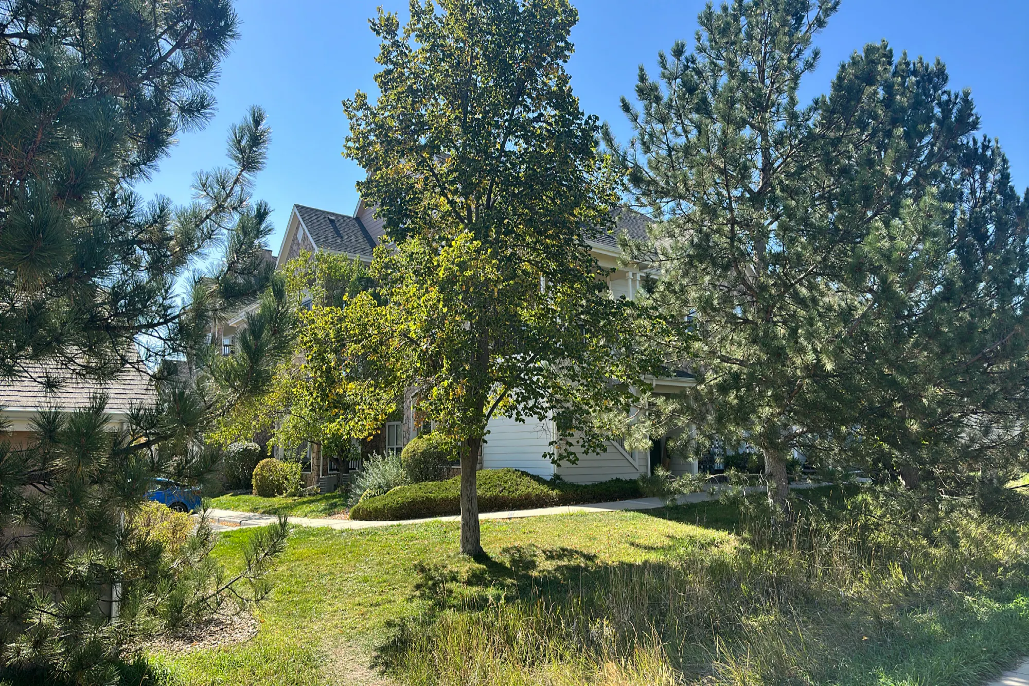 Warren Dr, Aurora, CO 80013 #1