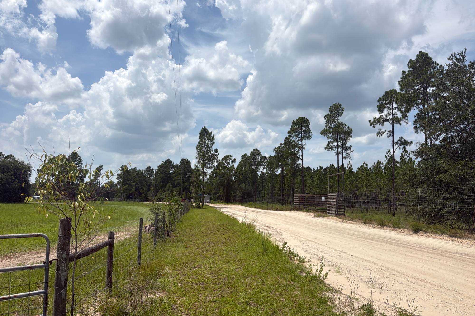 18125 Dover Lane photo 4