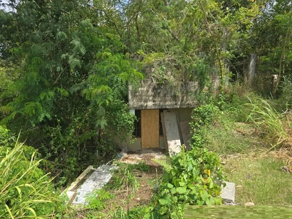 Canabo Sr 172 R7784 Caguas, PR 00725, Caguas County