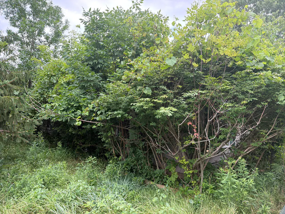 5245 Washburn Rd Goodrich, MI 48438, Lapeer County