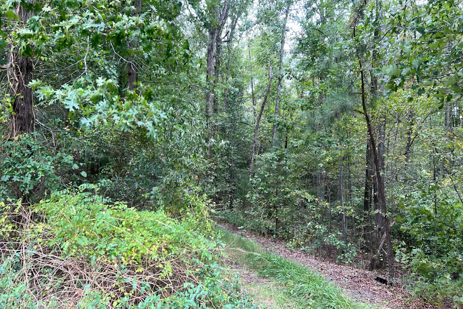 29492 Richmond Turnpike Ruther Glen, VA 22546, Caroline County