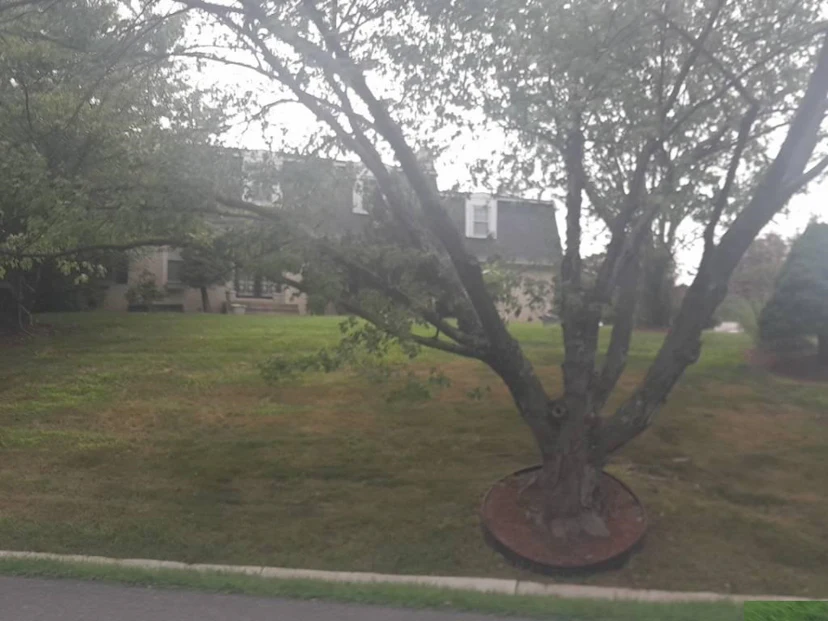 1400 Rosemary Ct