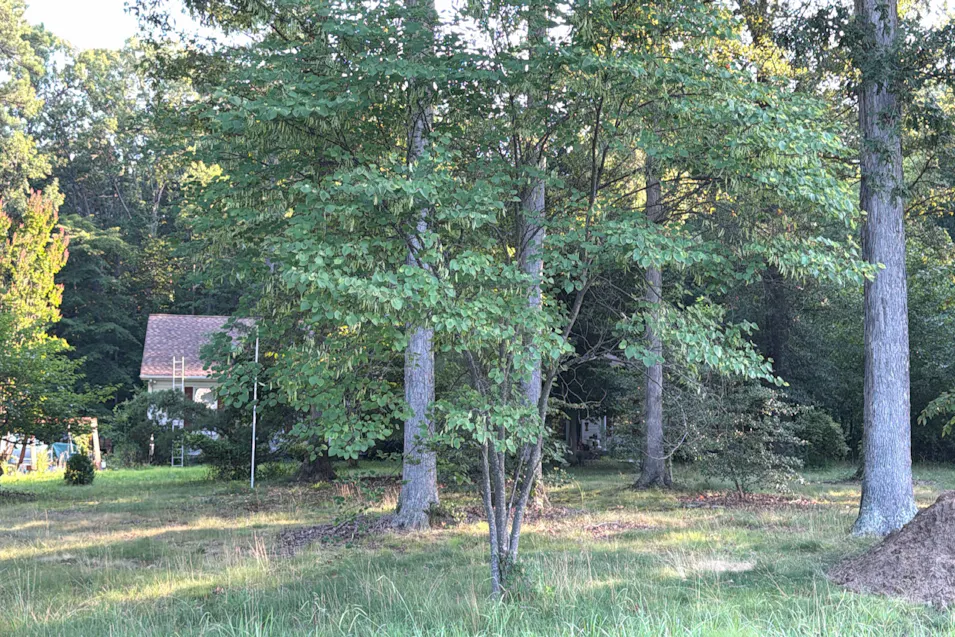 2205 4-H Park Road Centreville, MD 21617, Queen Anne`s County