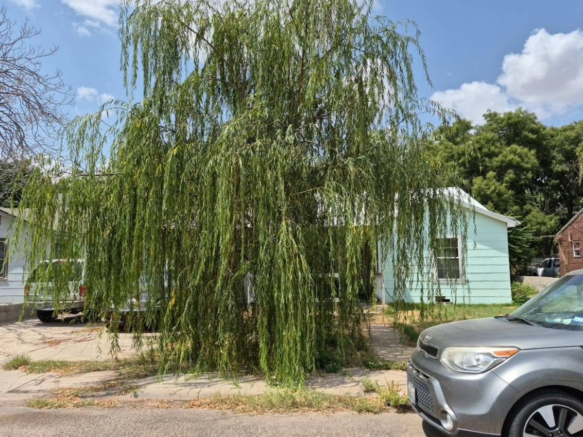 35th St, Odessa, TX 79762