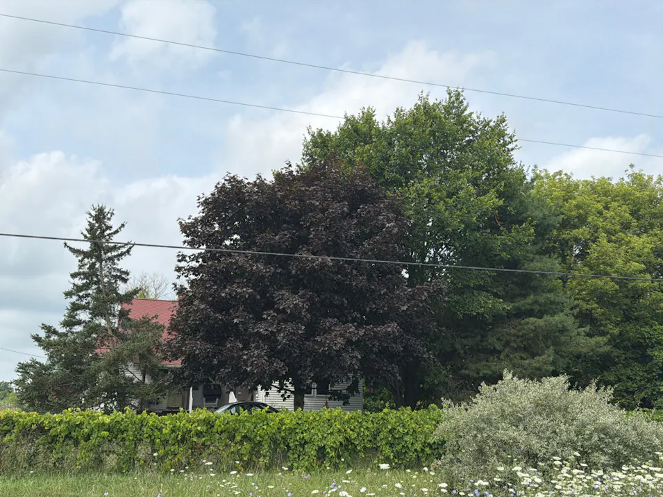 7167 Wildcat Rd Jeddo, MI 48032, St Clair County