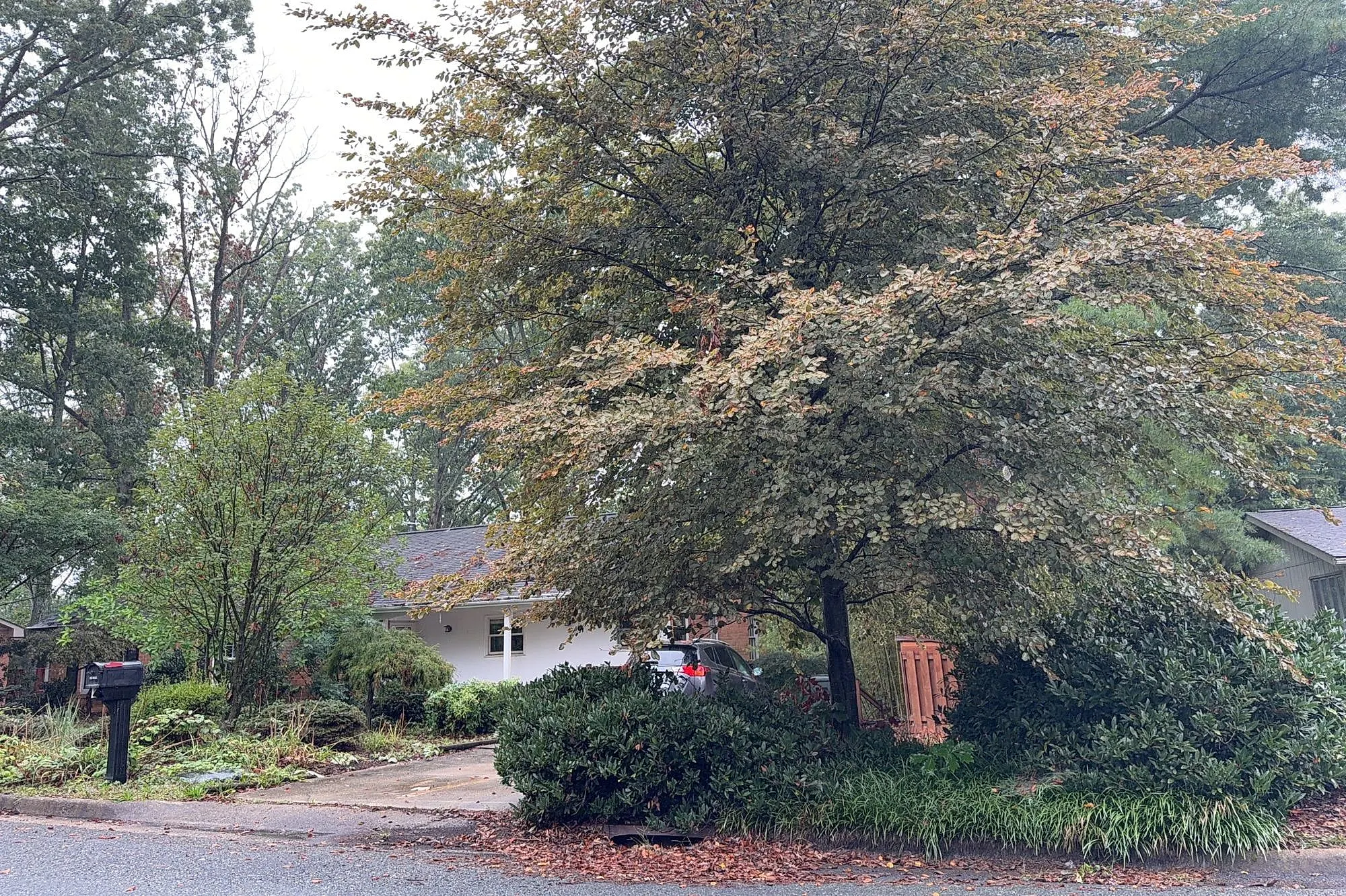 Pinehurst Rd, Staunton, VA 24401 #1