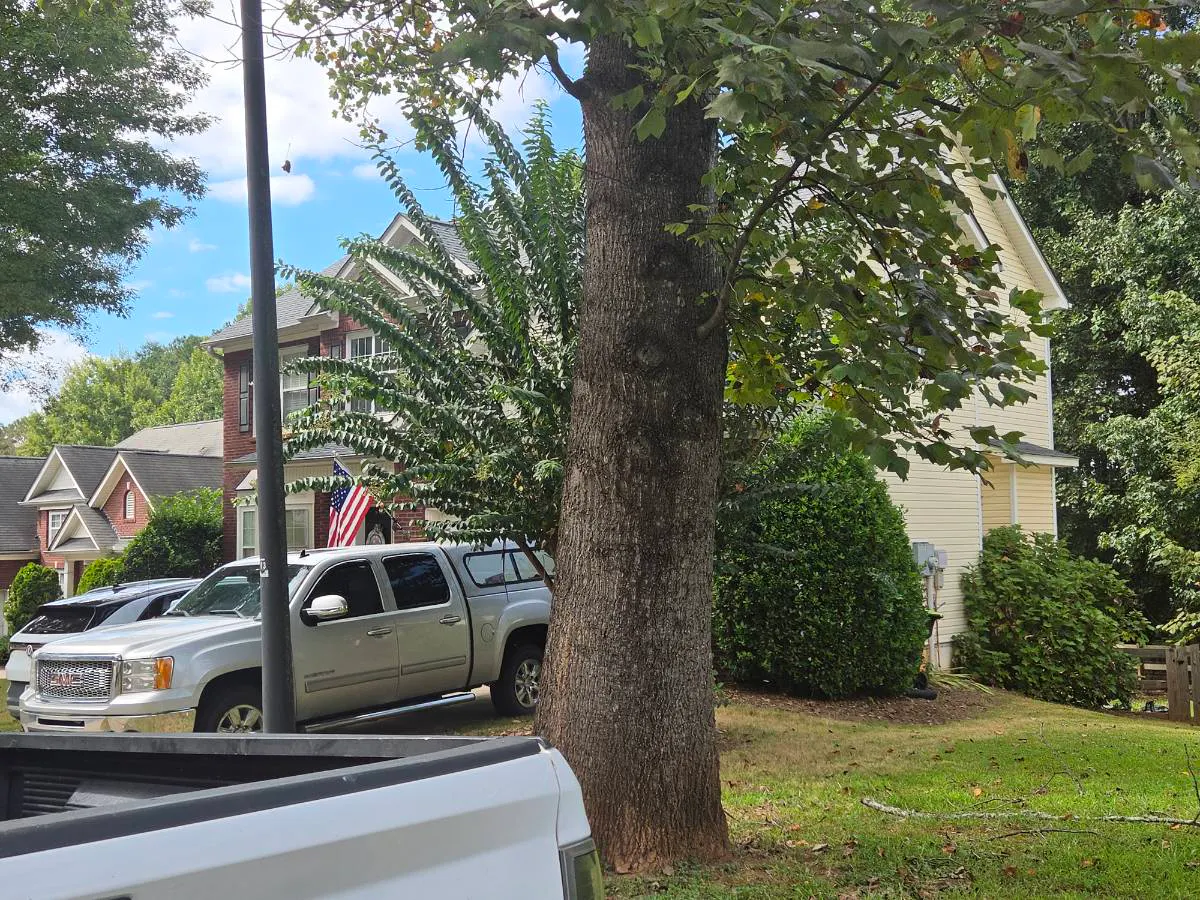 Neighborhood Walk, Villa Rica, GA 30180 #1
