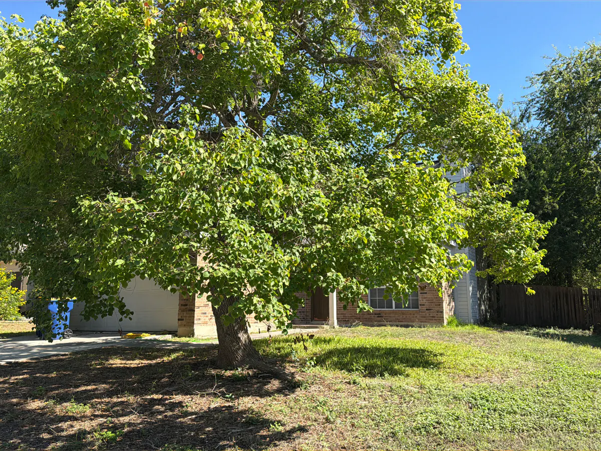 Sunrose Ln, Cibolo, TX 78108 #1