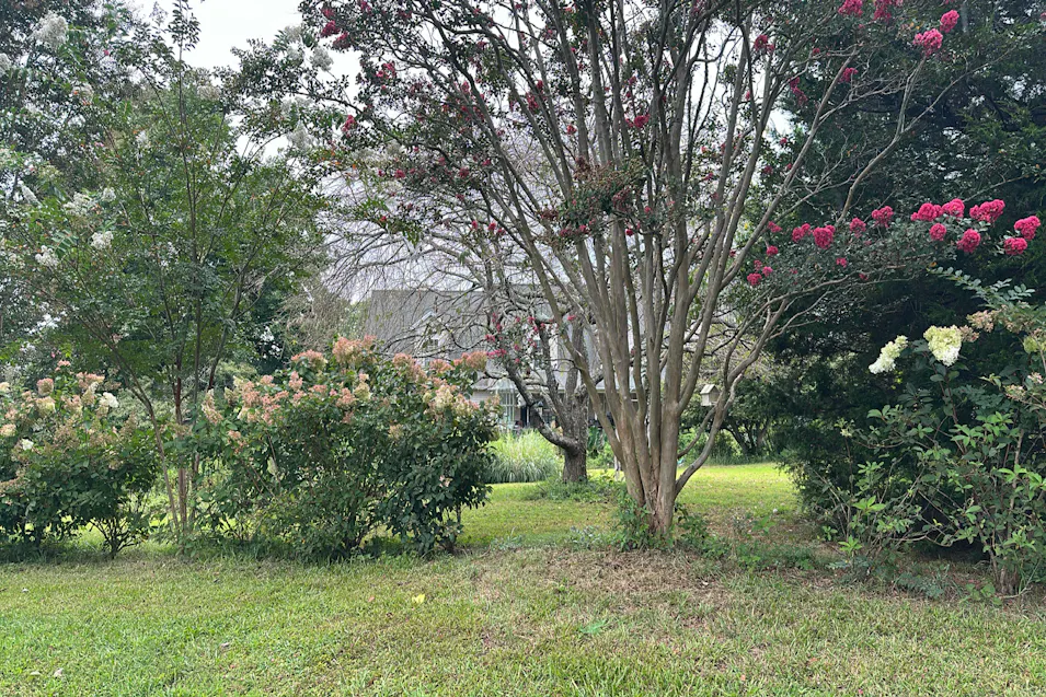 301 Ridge Point Drive Dahlonega, GA 30533, Lumpkin County