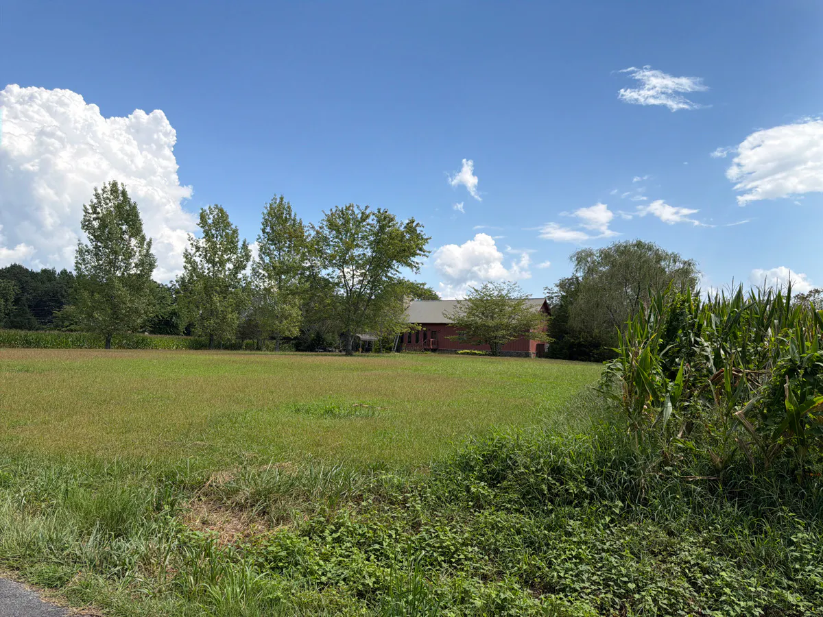 Mccurdy Loop Rd, Fort Payne, AL 35967 #1