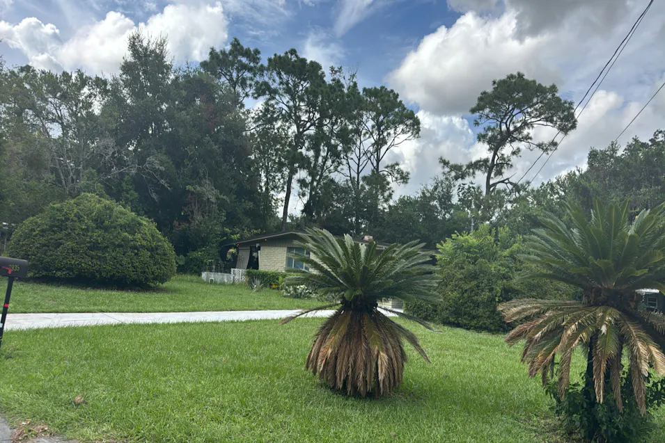 7935 Dubois Dr Jacksonville, FL 32221, Duval County