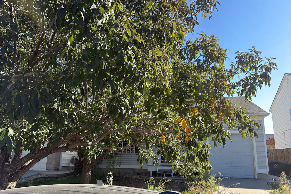 15852 E 48th Pl Denver, CO 80239, Denver County
