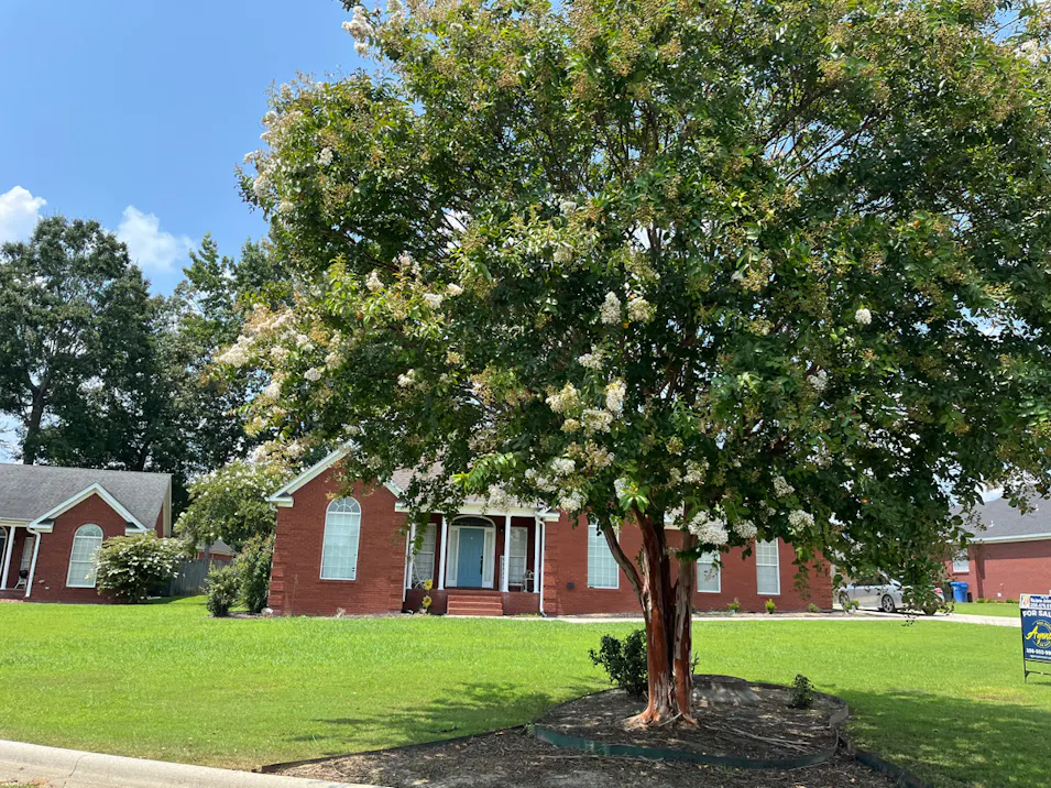 2003 Cedarwood Dr SW Hartselle, AL 35640, Morgan County