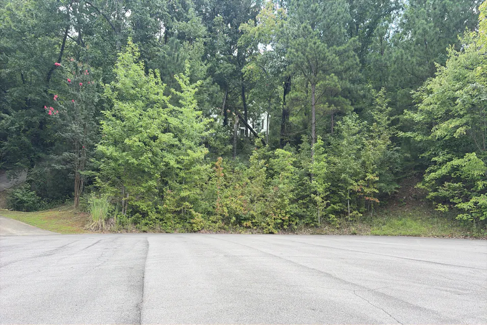 2033 Jarred Cir Leeds, AL 35094, St. Clair County