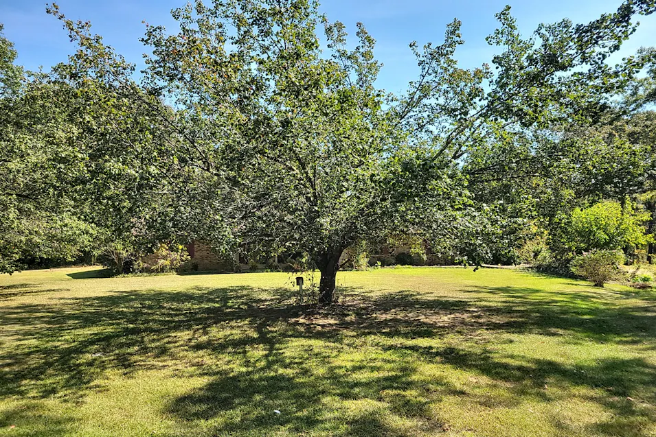 1200 County Road 51 Myrtle, MS 38650, Union County