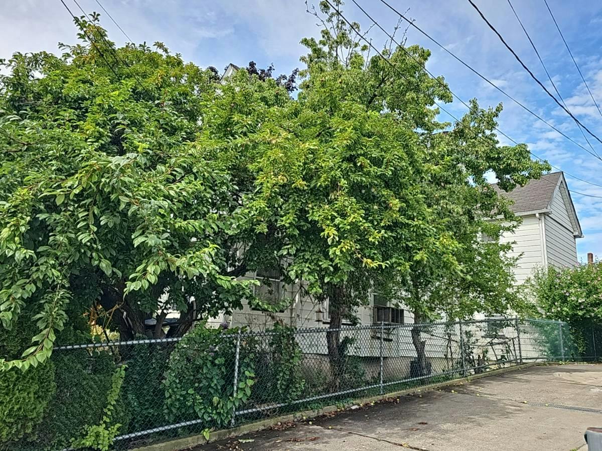 Jewett Ave, Staten Island, NY 10302 #1