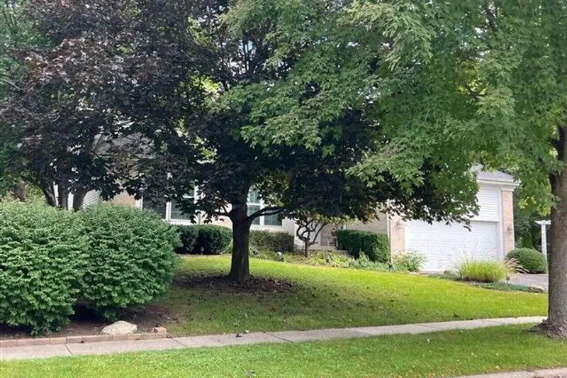 Lipizzan Ln, Wauconda, IL 60084 #1