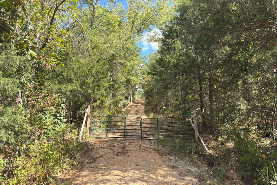 16384 Farm Road 1227 Aurora, MO 65605, Barry County