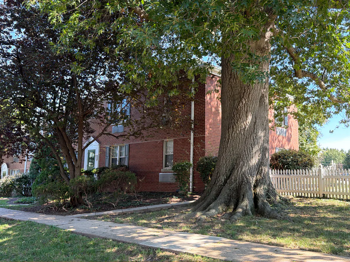 Auburn Ct, Alexandria, VA 22305 #1