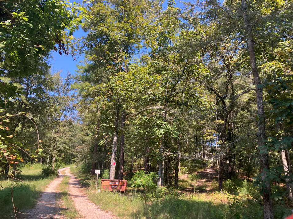 550 McKesie St Riverside, AL 35135, St. Clair County