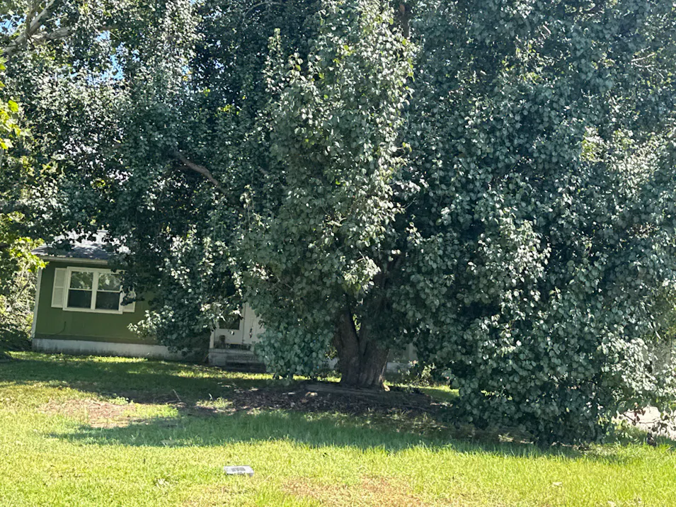 233 Jeffers Cir Elgin, SC 29045, Kershaw County