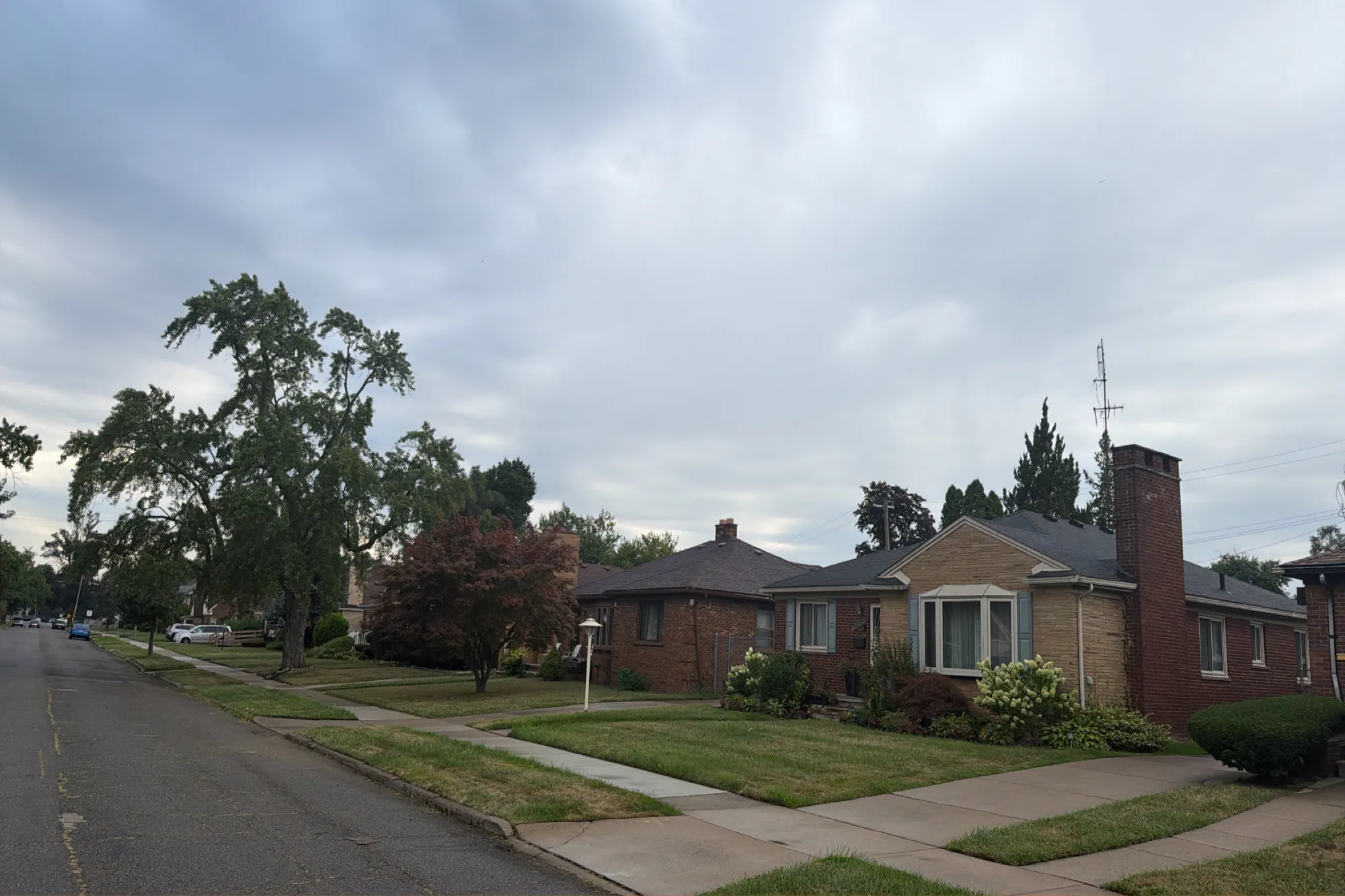 Marlowe St, Detroit, MI 48235 #1