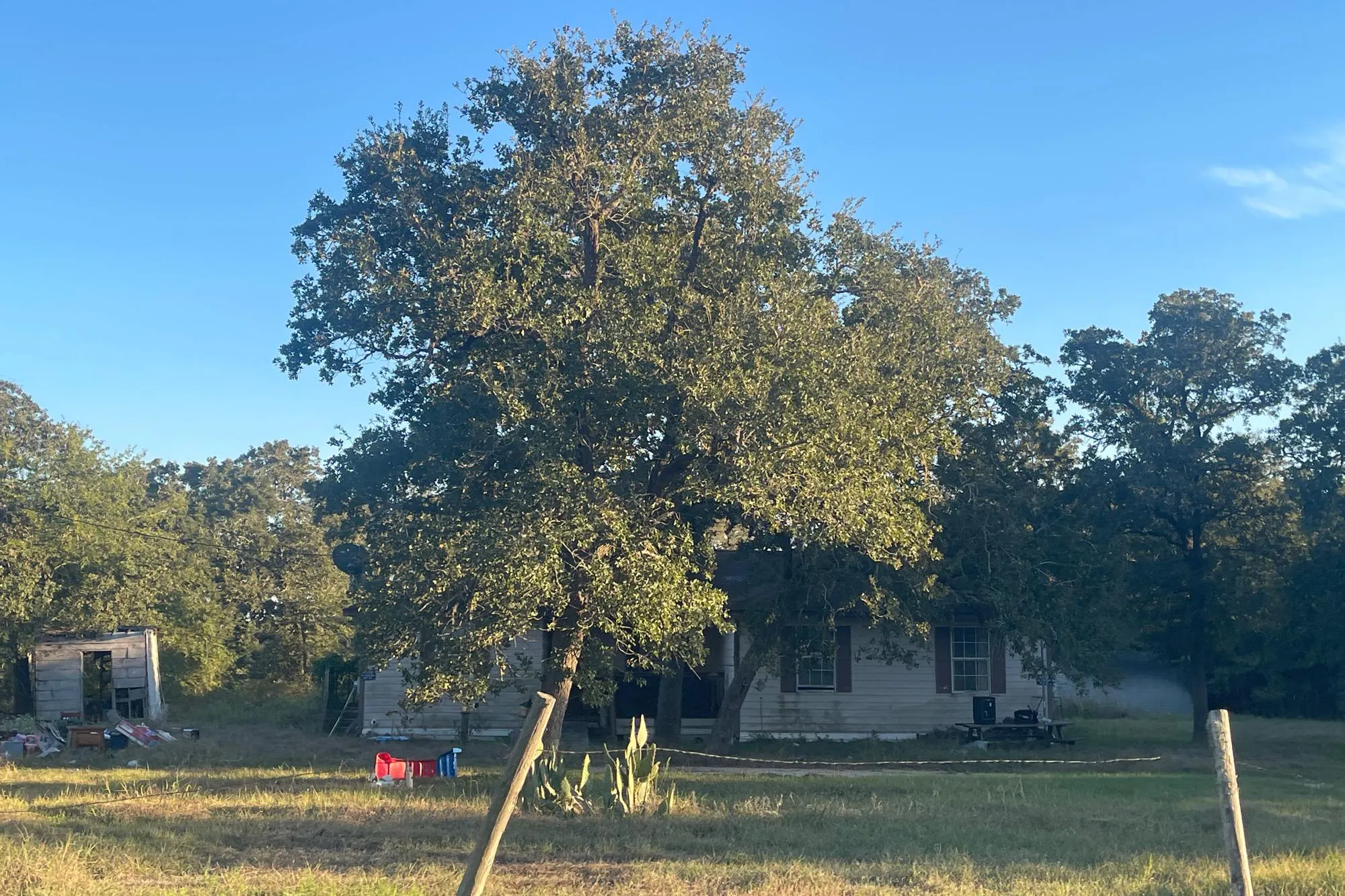 Oak Forest Dr, Somerville, TX 77879