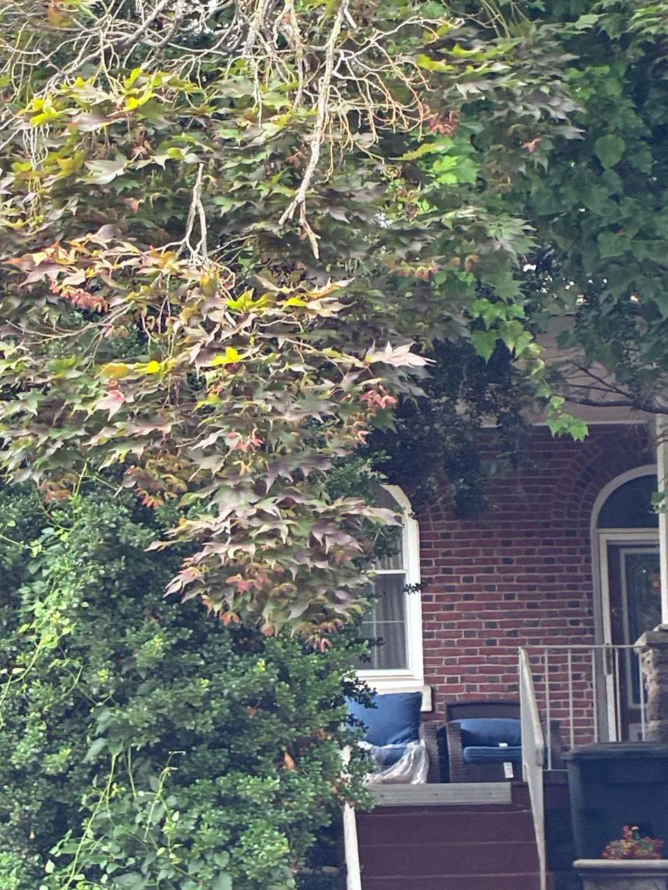 5033 Schuyler Street Philadelphia, PA 19144, Philadelphia County