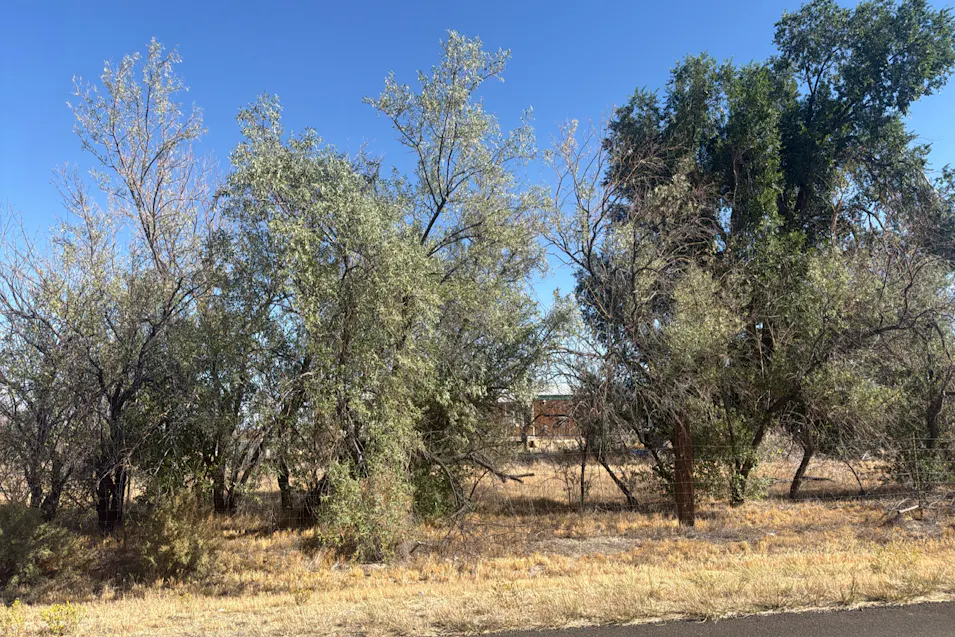 1687 Presidential Blvd Battle Mtn, NV 89820, Lander County