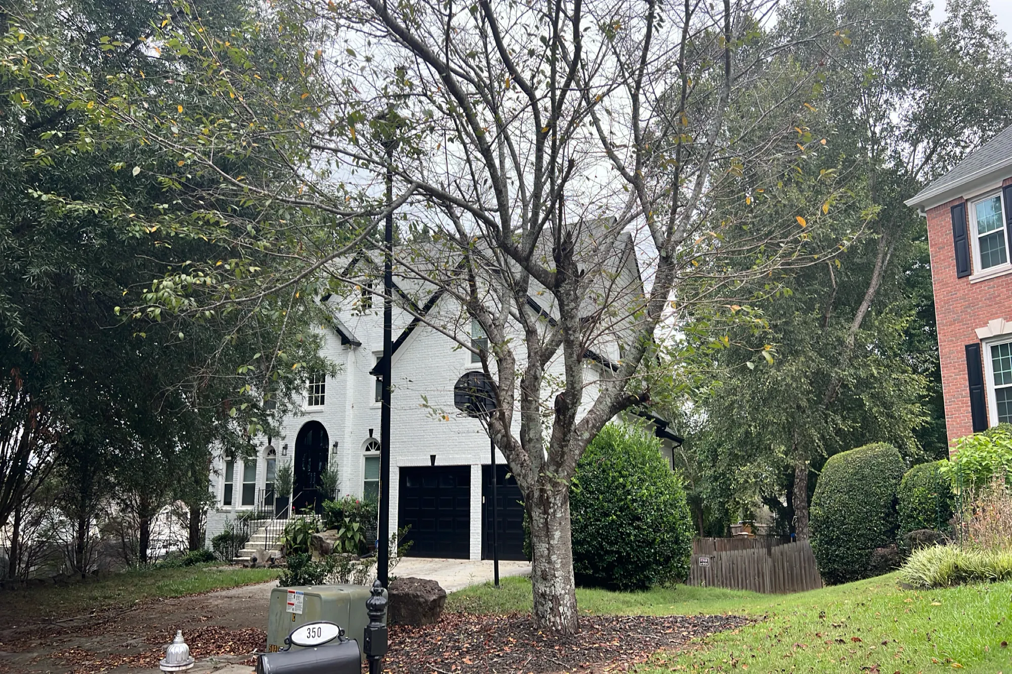 Willow Crescent Way, Alpharetta, GA 30022 #1