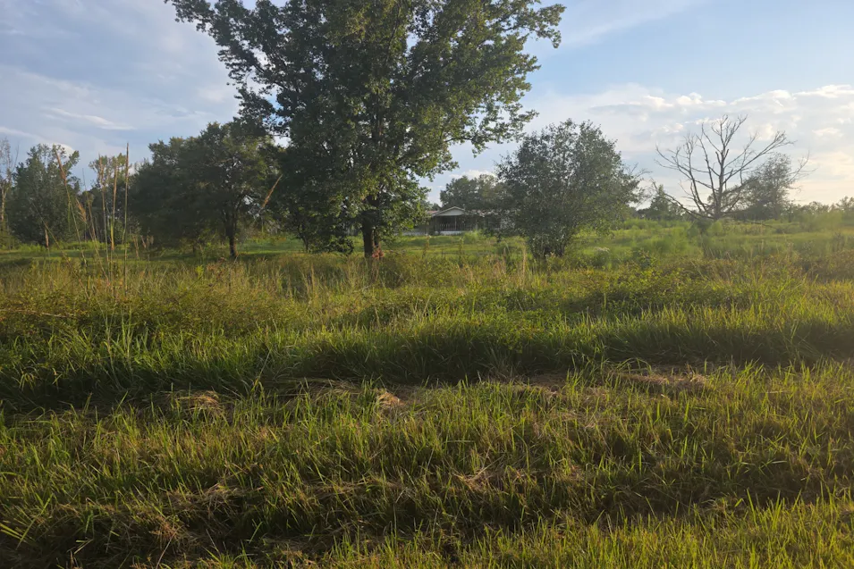 1181 Andrew Milling Rd Decatur, MS 39327, Newton County
