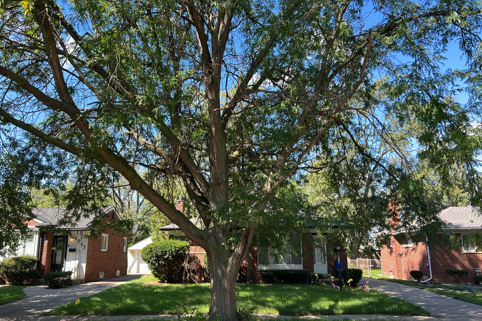 Dale , Redford, MI 48239 #1