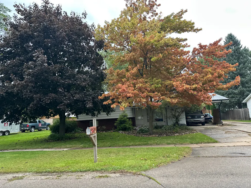 316e Keegan Deerfield, MI 49238, Lenawee County