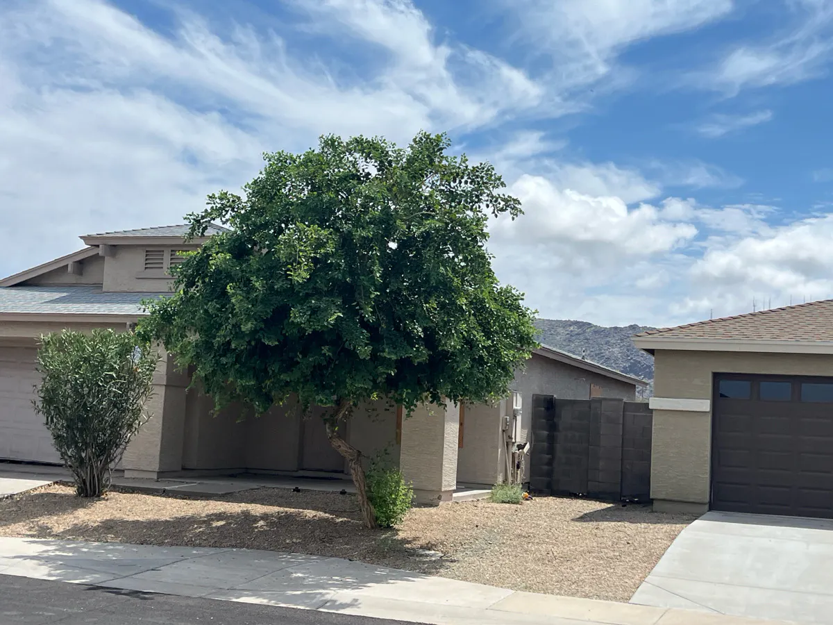 Latona Rd, Phoenix, AZ 85041 #1