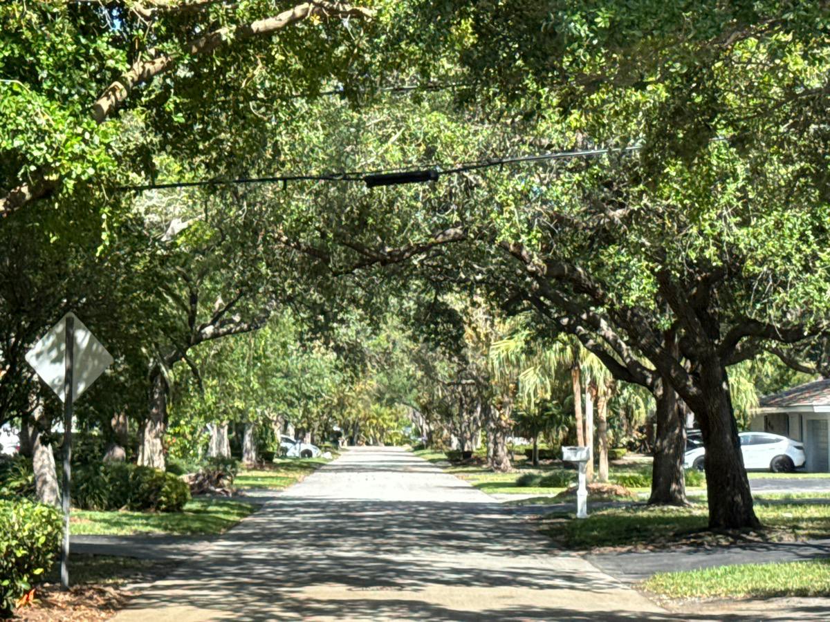 Coruna Ave, Coral Gables, FL 33156