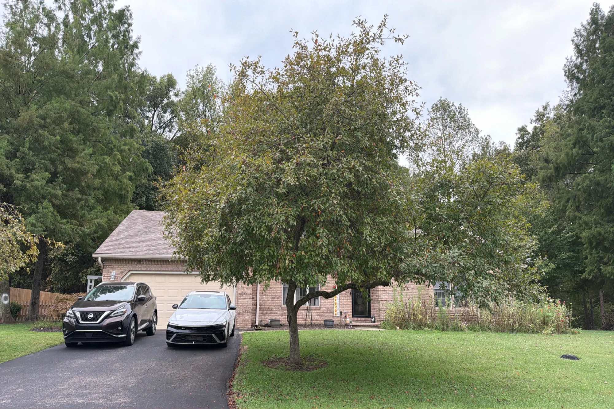 Carol Ln, Scottsburg, IN 47170
