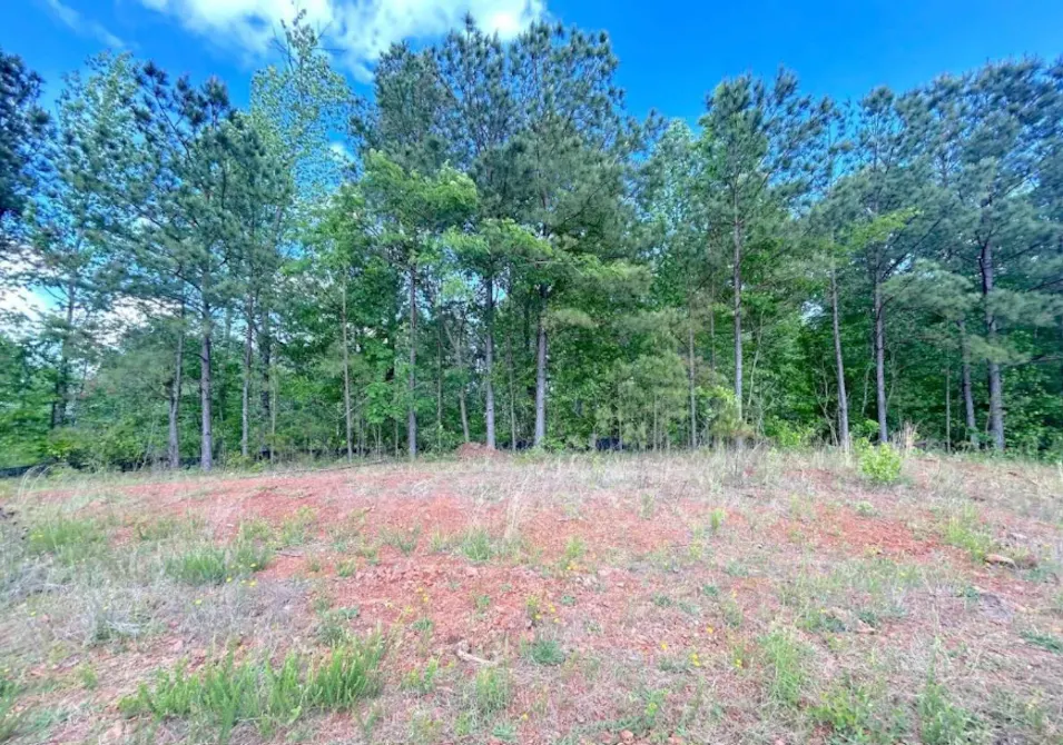 172 Oakdale Way Temple, GA 30179, Carroll County